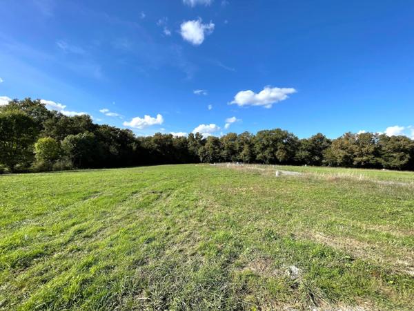 Magnifique lotissement entouré d' arbres