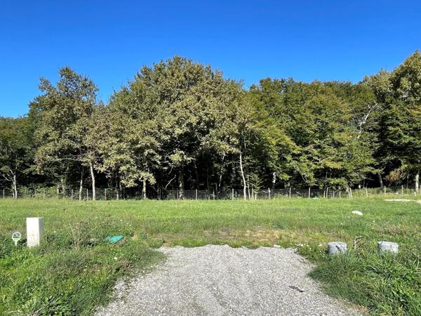 Magnifique lotissement entouré d' arbres