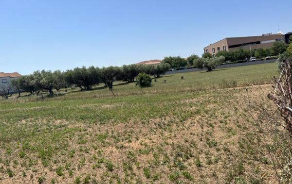 Vente Terrain A batir Saint-gilles   