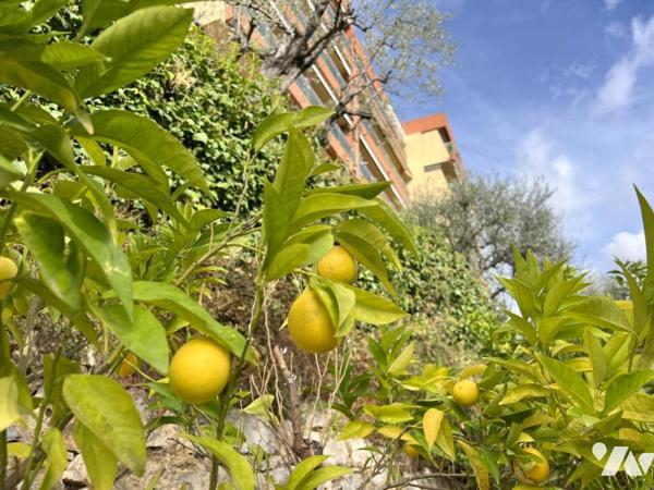 GRASSE, Rés. EMERAUDE, 52 av. Riou Blanquet. 3p de 96,46m² + Cave + Garage double en sus