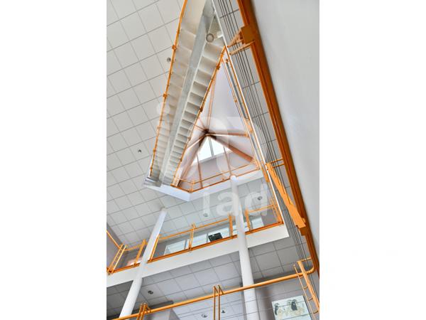 Murs commerciaux  à vendre 1 238,95 m² Albert