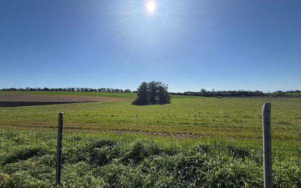 Maison à vendre    4 pièces •  Meschers-sur-Gironde