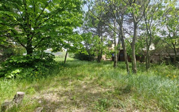 Maison à vendre    5 pièces •  Tavel