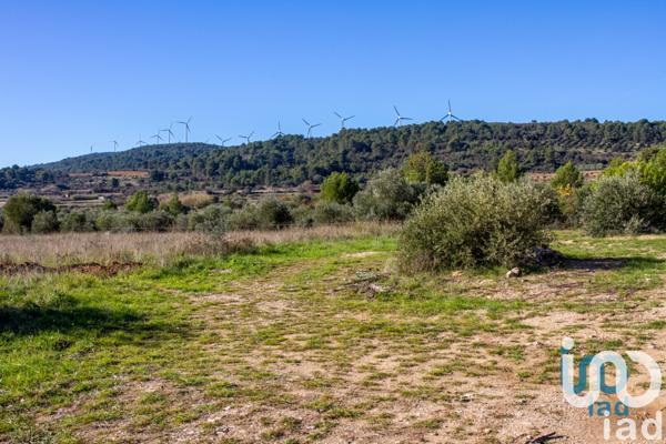 Terrain à vendre 1 194 m² Mailhac