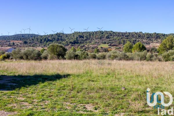 Terrain à vendre 1 194 m² Mailhac