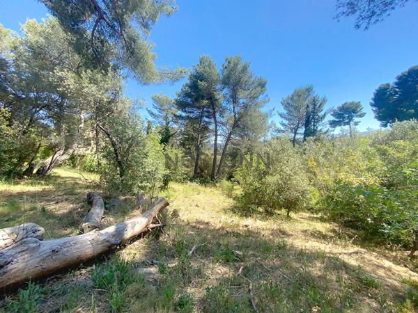 Maison de 150M2 (+ garage de 90 m2 amenageable) sur un terrain de 3 400m2 - Secteur de la Treille