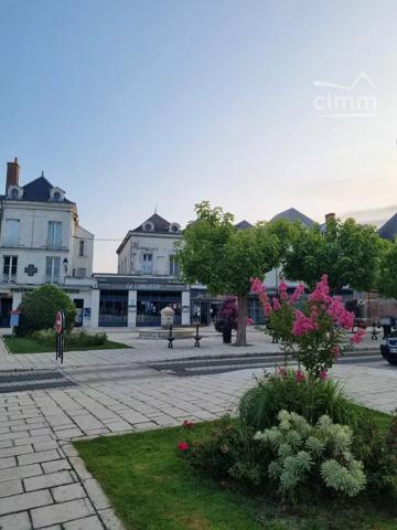 EXCEPTIONNEL – HÔTEL RESTAURANT DE CARACTÈRE AU COEUR DES CHATEAUX DE LA LOIRE ET AUX PORTES DU ZOO DE BEAUVAL.