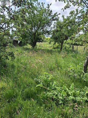 Maison à vendre à Camblain-Châtelain dans le Pas-de-Calais (62470), ref : 62050-1706