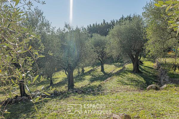 L’Horizon Rêvé à Cabris : Villa de Prestige et son Parc aux Oliviers