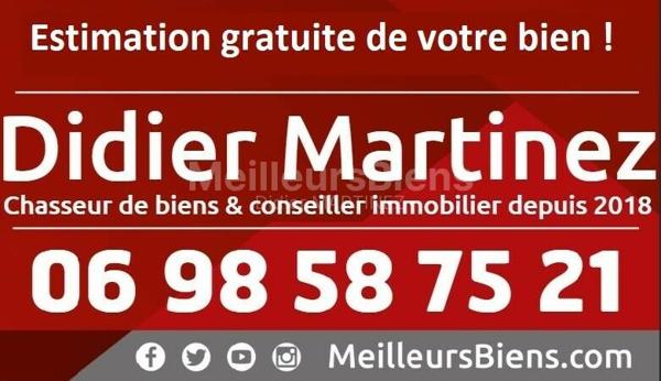 Albi Rochegude : Maison de style entièrement restaurée avec jardin et garage