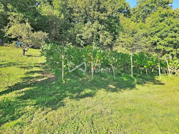Terrain 1480m² avec Piscine et Vignes proche Rodez