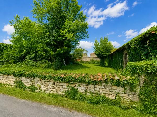 Maison en pierre avec jardin, dépendances et grange à Mansle