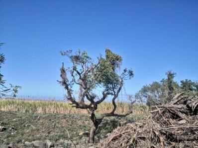 Terrain de 550 m2 proche pierrefonds