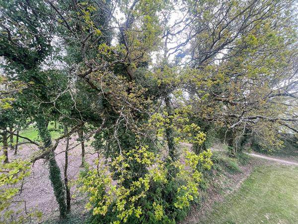 Appartement à vendre à Vannes Ménimur 2 pièces 46 m² dernier étage balcon