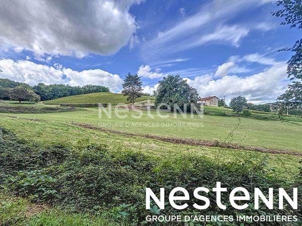 A vendre: Terrain a batir + Terrain naturel - 71570 SAINT AMOUR BELLEVUE