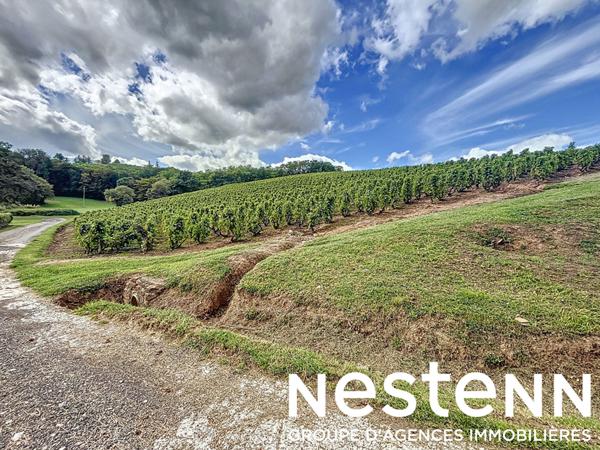 A vendre: Terrain a batir + Terrain naturel - 71570 SAINT AMOUR BELLEVUE