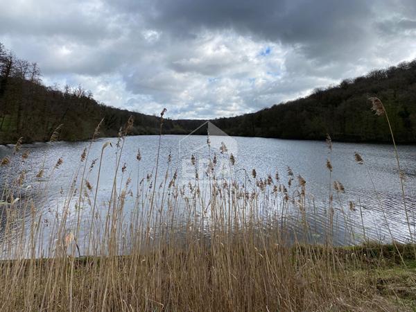 20643 - étang de 6,5 ha avec un terrain de 1,5ha