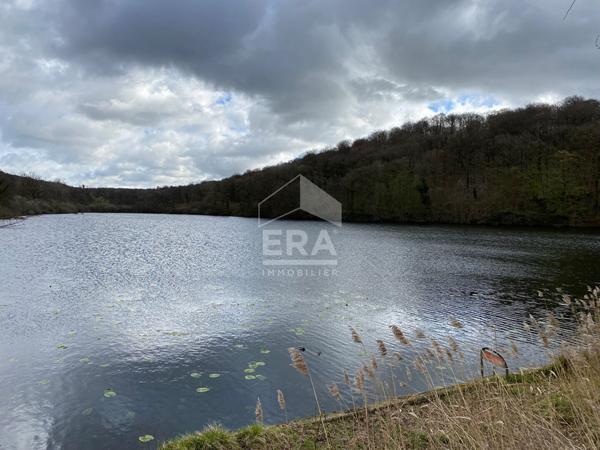 20643 - étang de 6,5 ha avec un terrain de 1,5ha