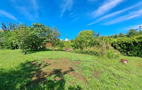 Vente Terrain VERGER POTAGER L'ile-d'olonne   