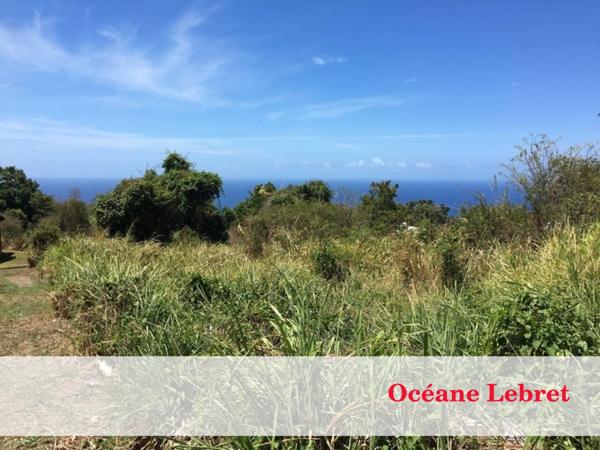 Terrain à vendre de 1 482 m²