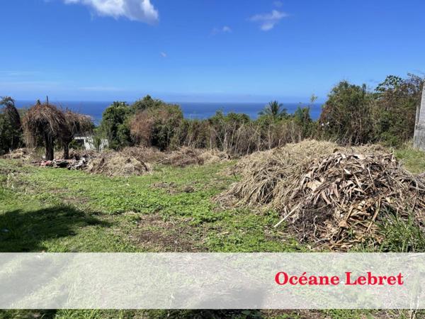 Terrain à vendre de 1 482 m²