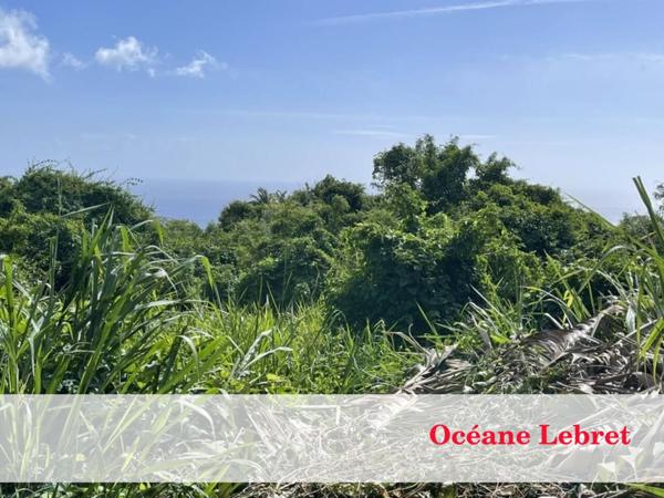 Terrain à vendre de 1 482 m²