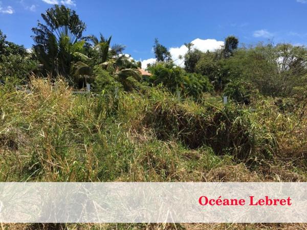Terrain à vendre de 1 482 m²