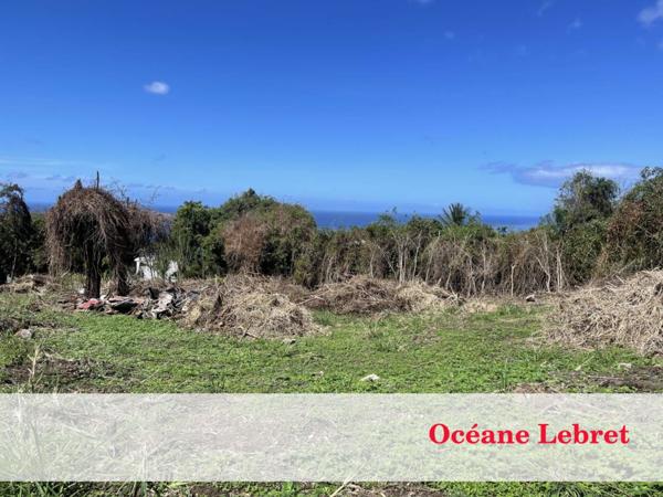 Terrain à vendre de 1 482 m²