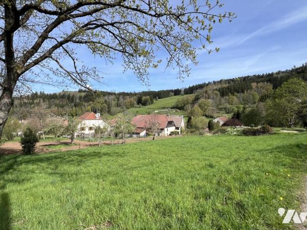 terrain avec vue paysagère