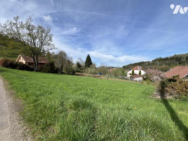 terrain avec vue paysagère