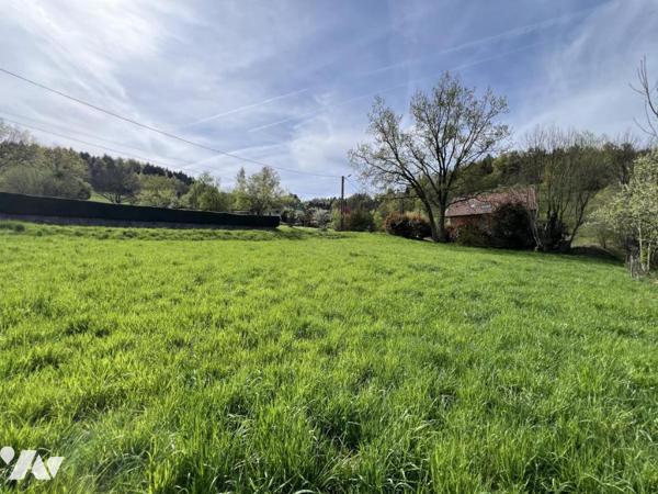 terrain avec vue paysagère