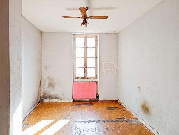 Maison de 4 pièces entièrement à rénover à Arthes