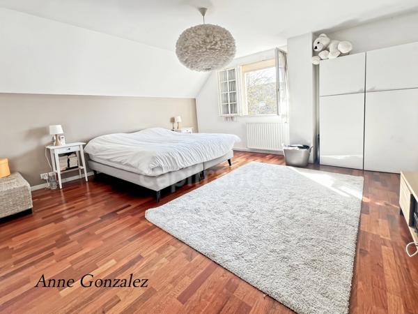 Saint Jean le Blanc, à 5 minutes d'Orleans dans un secteur privilégié et recherché à vendre grande maison familiale de 250 m2, 7 chambres, garage double, jardin clos avec piscine chauffée et abri