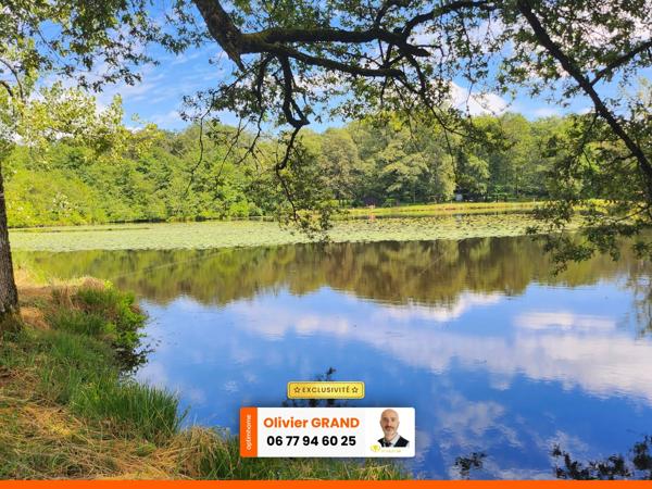 ETANG + TERRAIN DE LOISIR + FORET DE CHENES - PROCHE CENTRE-BOURG