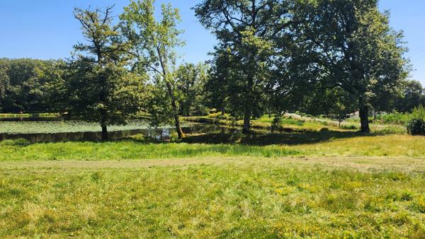 ETANG + TERRAIN DE LOISIR + FORET DE CHENES - PROCHE CENTRE-BOURG
