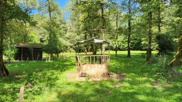 ETANG + TERRAIN DE LOISIR + FORET DE CHENES - PROCHE CENTRE-BOURG