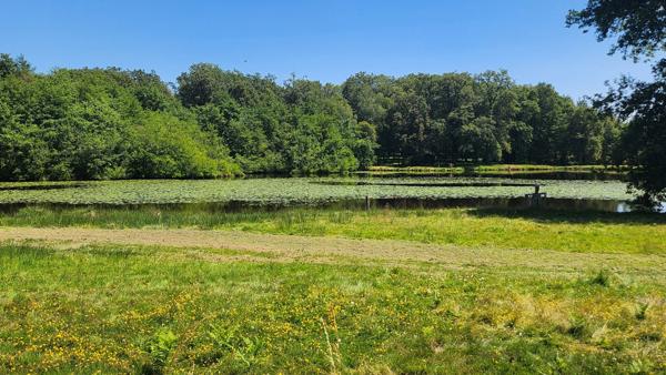 ETANG + TERRAIN DE LOISIR + FORET DE CHENES - PROCHE CENTRE-BOURG