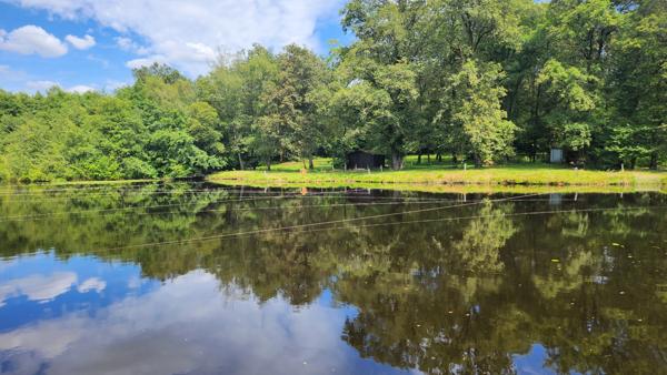 ETANG + TERRAIN DE LOISIR + FORET DE CHENES - PROCHE CENTRE-BOURG