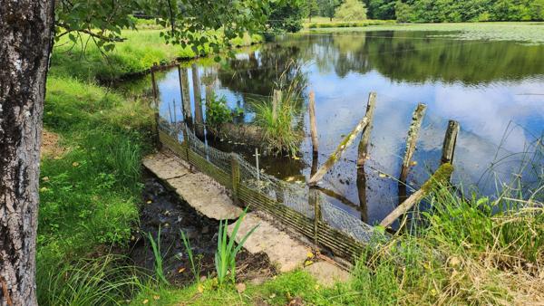 ETANG + TERRAIN DE LOISIR + FORET DE CHENES - PROCHE CENTRE-BOURG