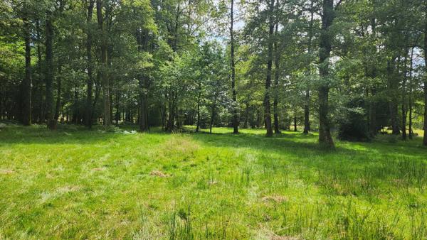 ETANG + TERRAIN DE LOISIR + FORET DE CHENES - PROCHE CENTRE-BOURG
