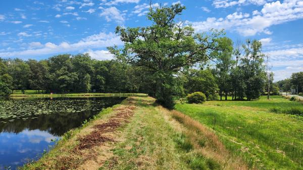 ETANG + TERRAIN DE LOISIR + FORET DE CHENES - PROCHE CENTRE-BOURG