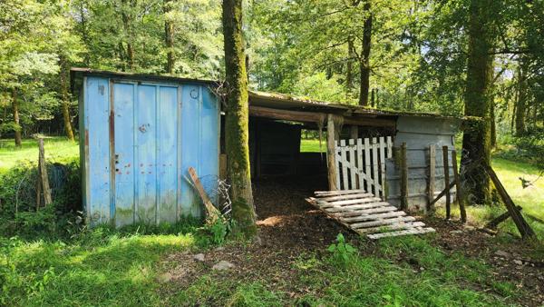 ETANG + TERRAIN DE LOISIR + FORET DE CHENES - PROCHE CENTRE-BOURG