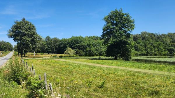 ETANG + TERRAIN DE LOISIR + FORET DE CHENES - PROCHE CENTRE-BOURG