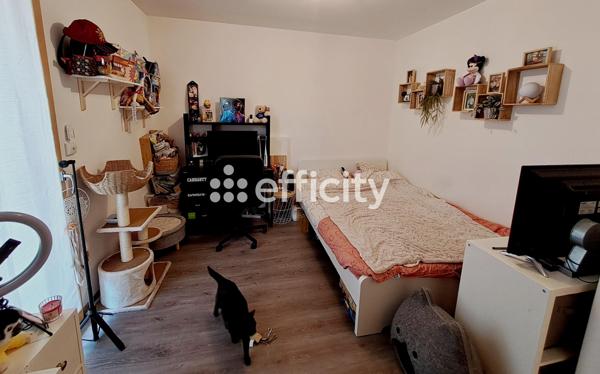 Appartement 3 pièces - 67 m² Exclusivité efficity