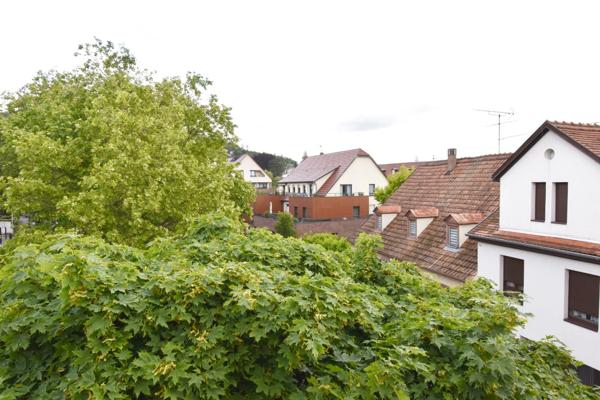 Immeuble à vendre BARR (67) : Immeuble mixte, commerce + logements.