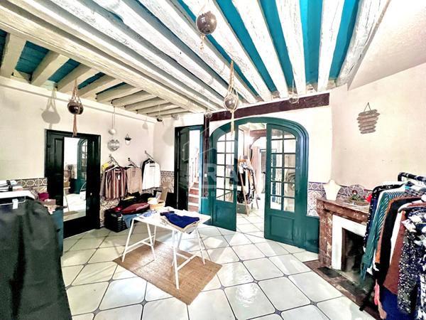 Coeur d'Orléans, maison de caractère avec patio, terrasse et garage .