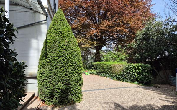 Maison à vendre    8 pièces •  Saint-Étienne