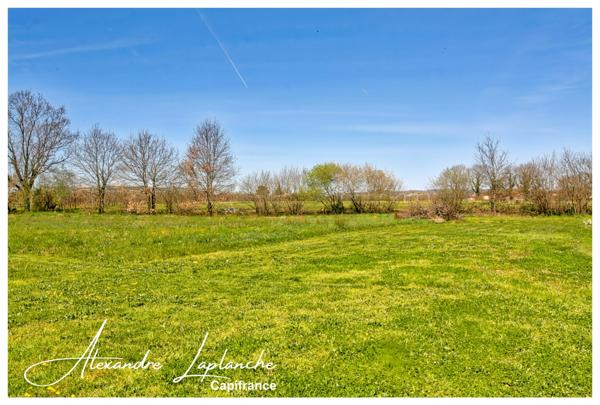 MONTAUBAN SAINT-HILAIRE grand terrain plat de 5575 m², possibilté de division