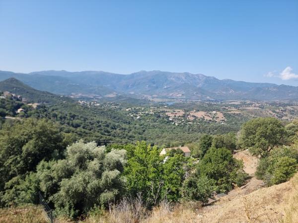 Poggio-d'Oletta (20232) CAP CORSE, POGGIO D'OLETTA