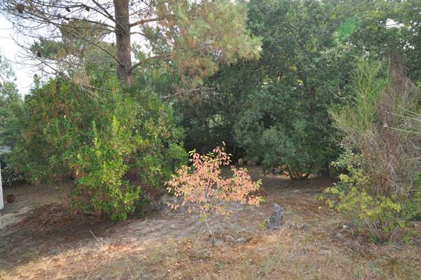 MAISON FAMILIALE - ARCACHON ABATILLES